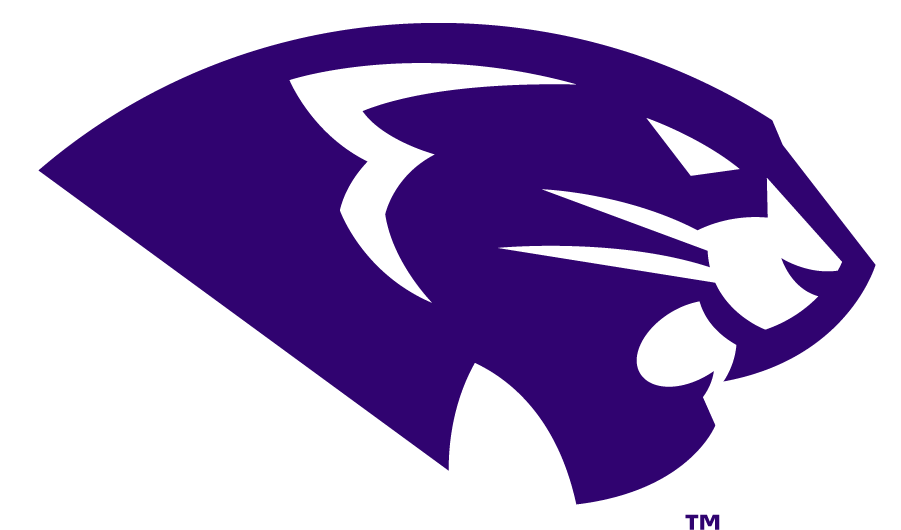 High Point Panthers 2017-Pres Secondary Logo v2 diy iron on heat transfer